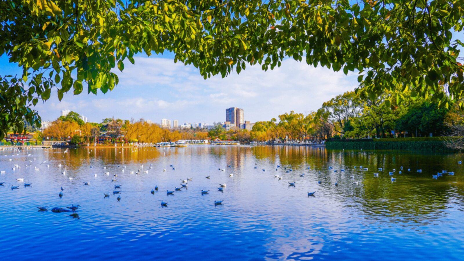 Cuihu Park