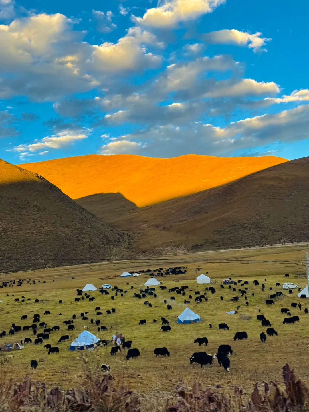 Grasslands Around Xinlong County