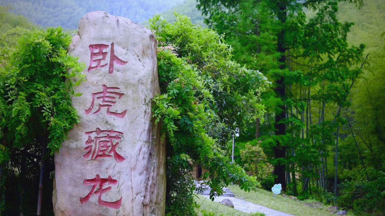 China Grand Bamboo Sea