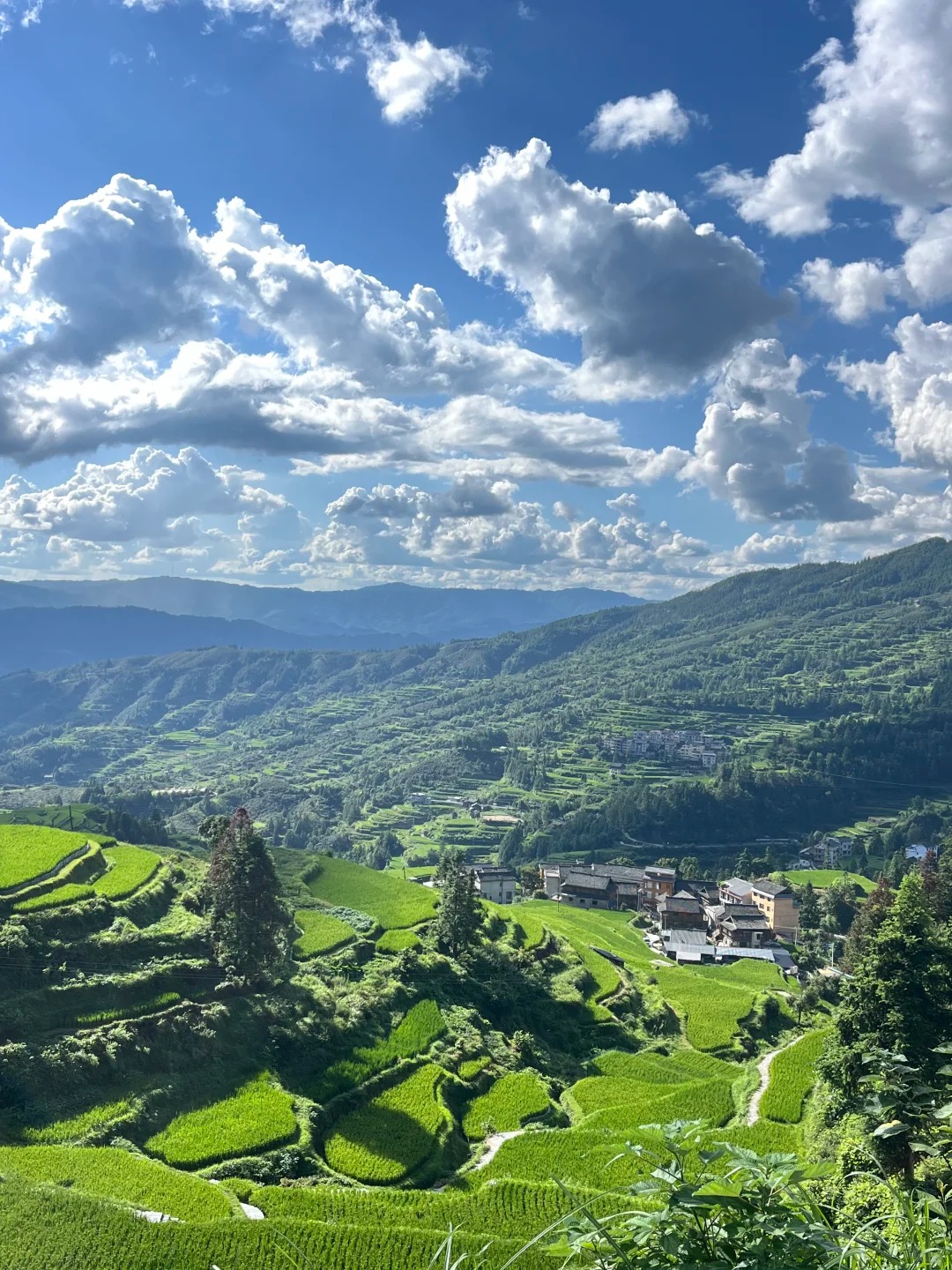 Rice Terraces near Tang’an