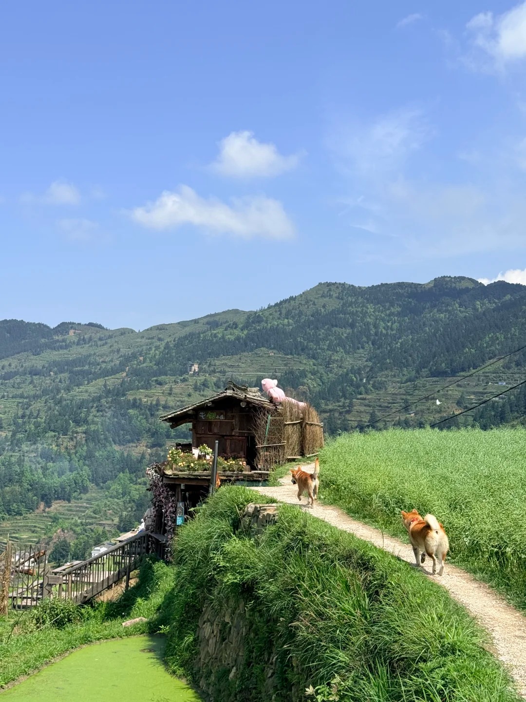 Tang’an Dong Village