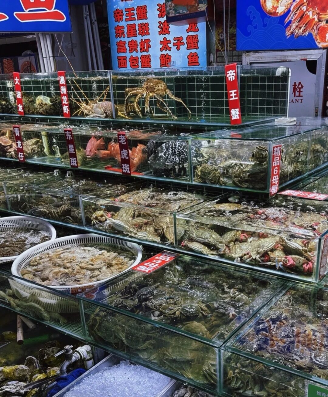 The Basement Seafood Floor