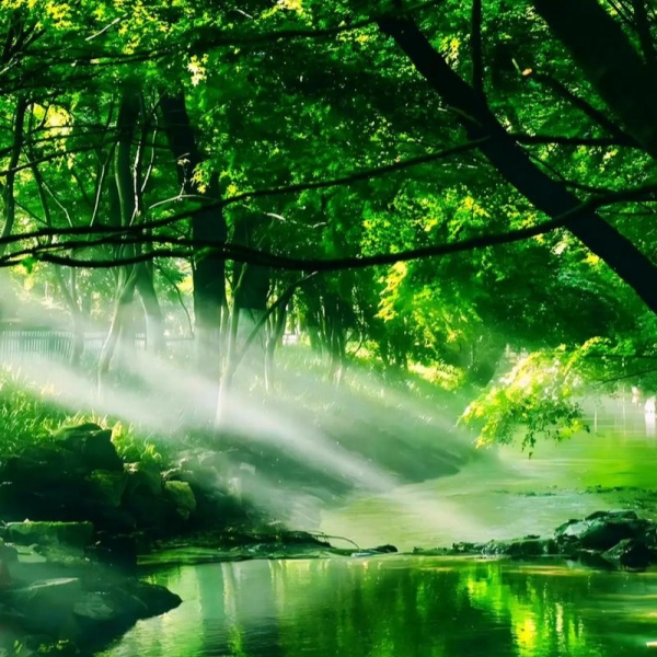 Summer (夏 Xià): The season of growth in seasons in chinese