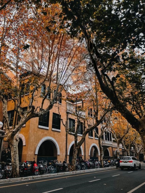 Anfu Road Autumn Charm