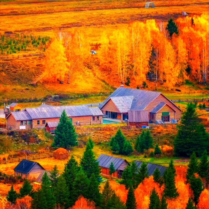 Autumn in Kanas, Xinjiang