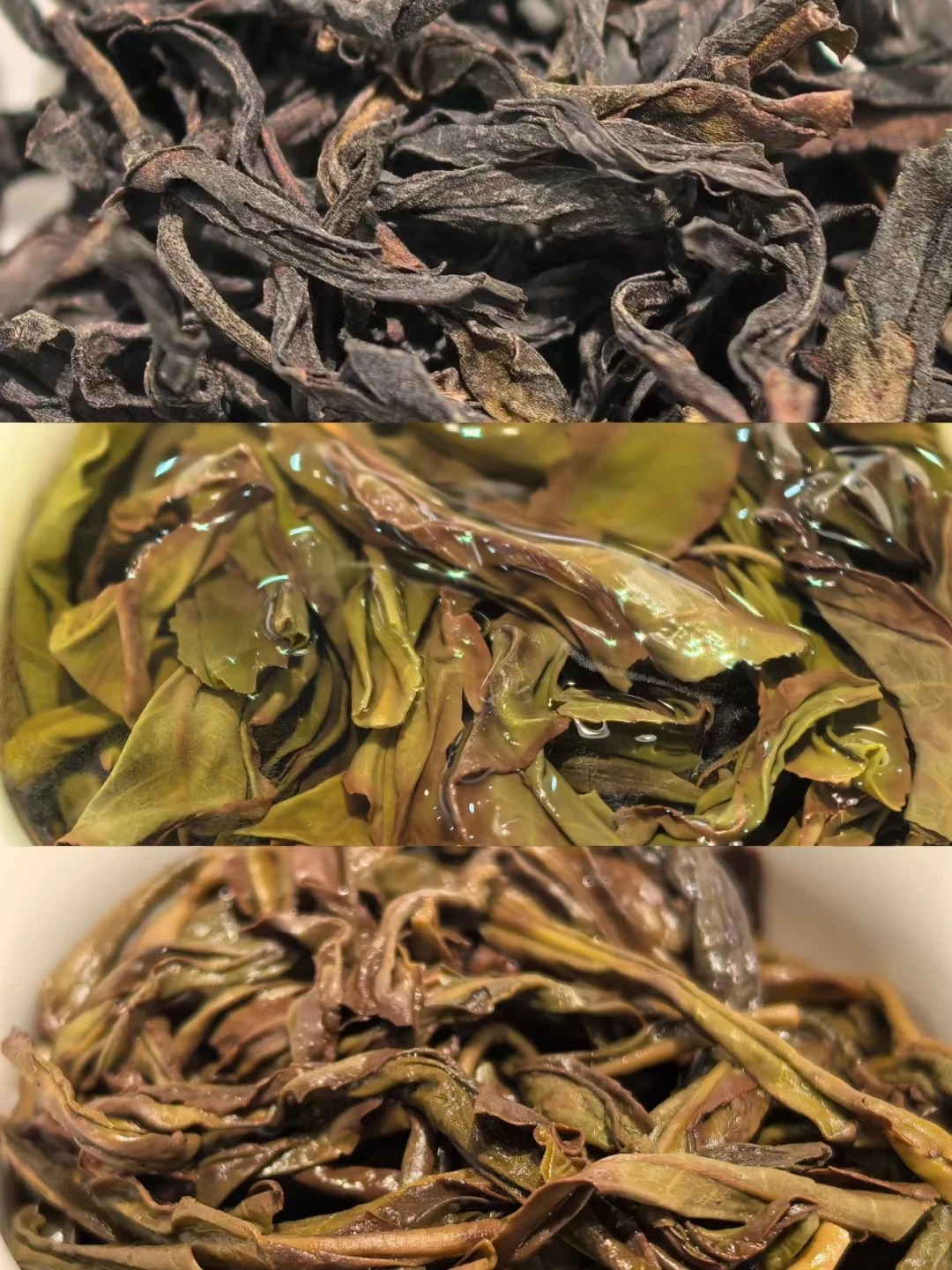Oolong Tea