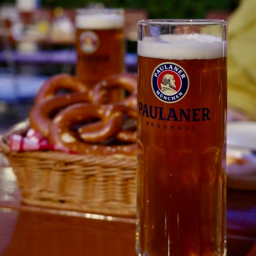 Freshly Brewed Paulaner Lager