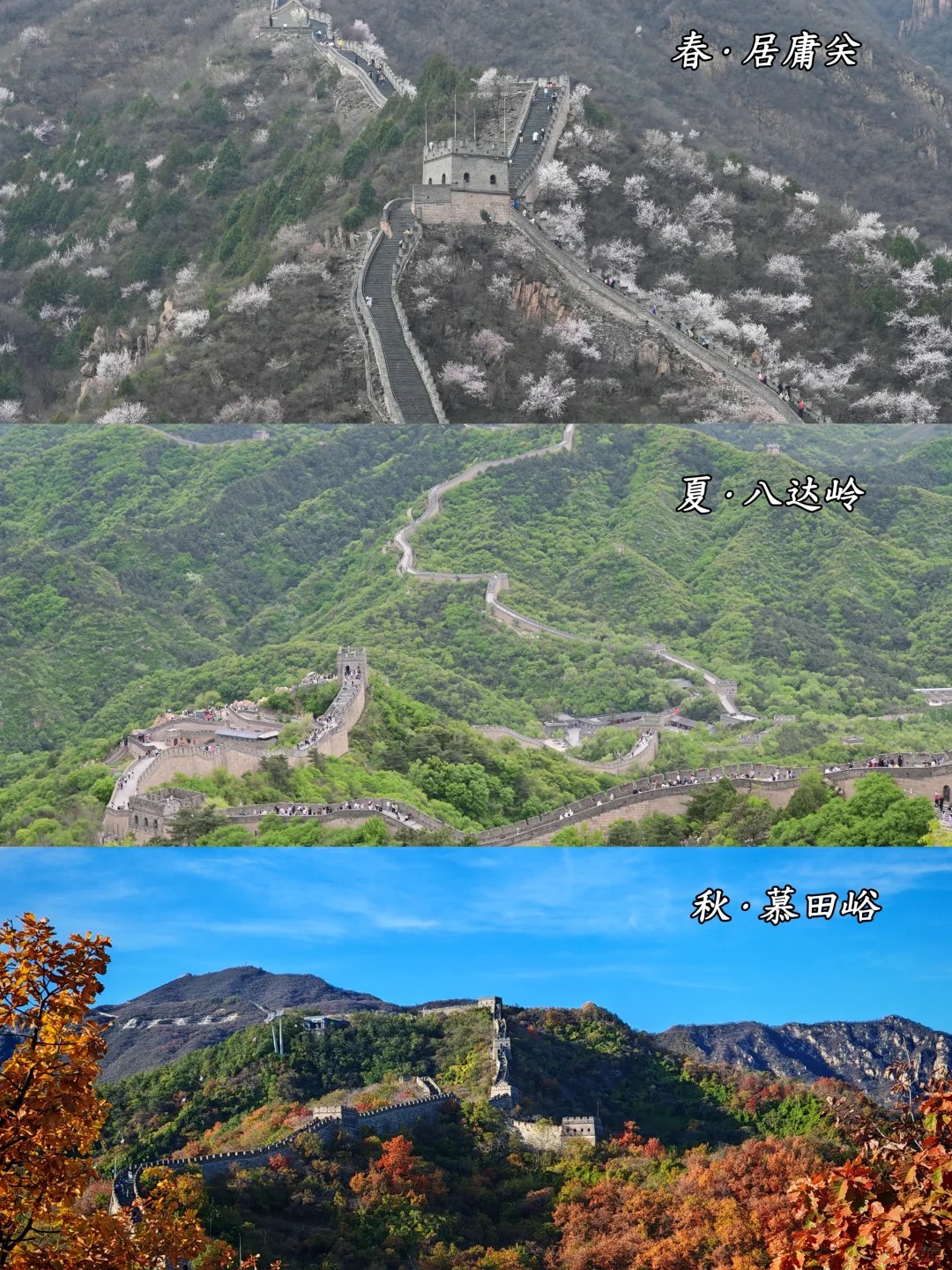 Comparison of the Great Wall