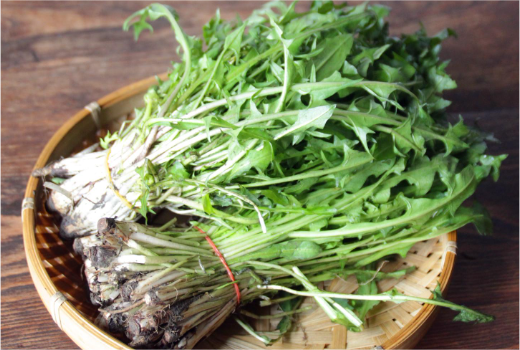 Mountain vegetables