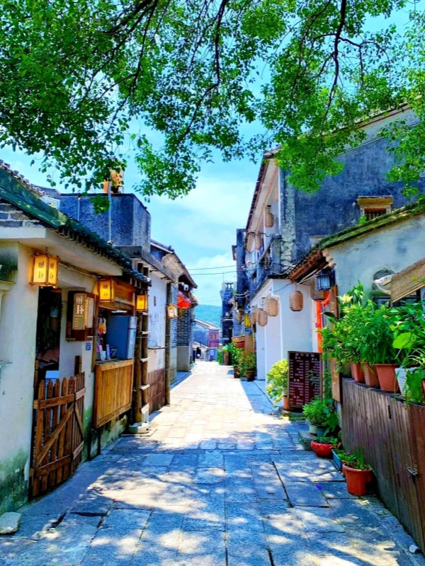 Shaded Alley in Dapeng Fortress