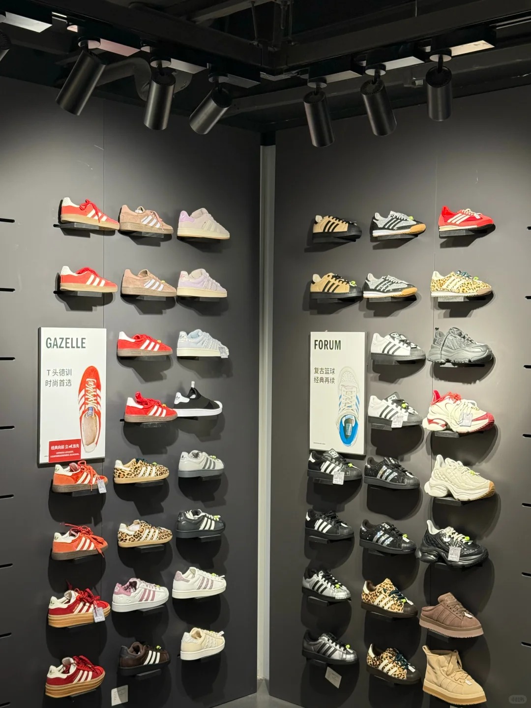 Store of Adidas