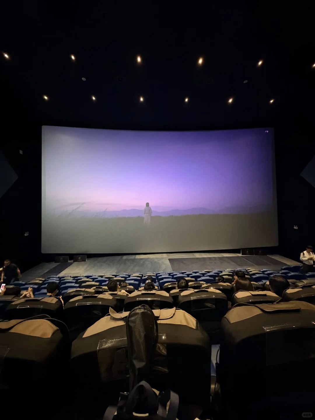 IMAX Cinema