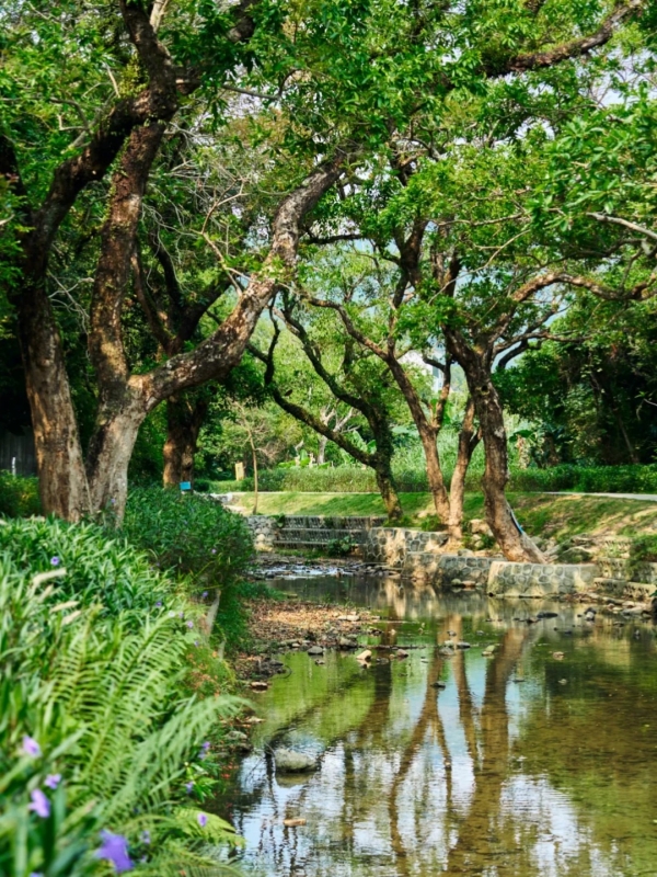 Dashanpi Greenway