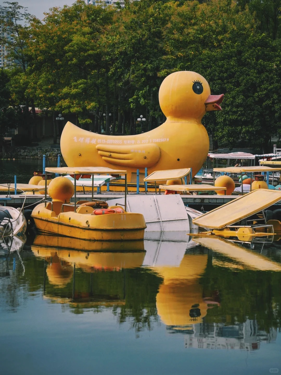 Lihu Lake and the Duck Boats