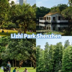 Lizhen Park Shenzhen