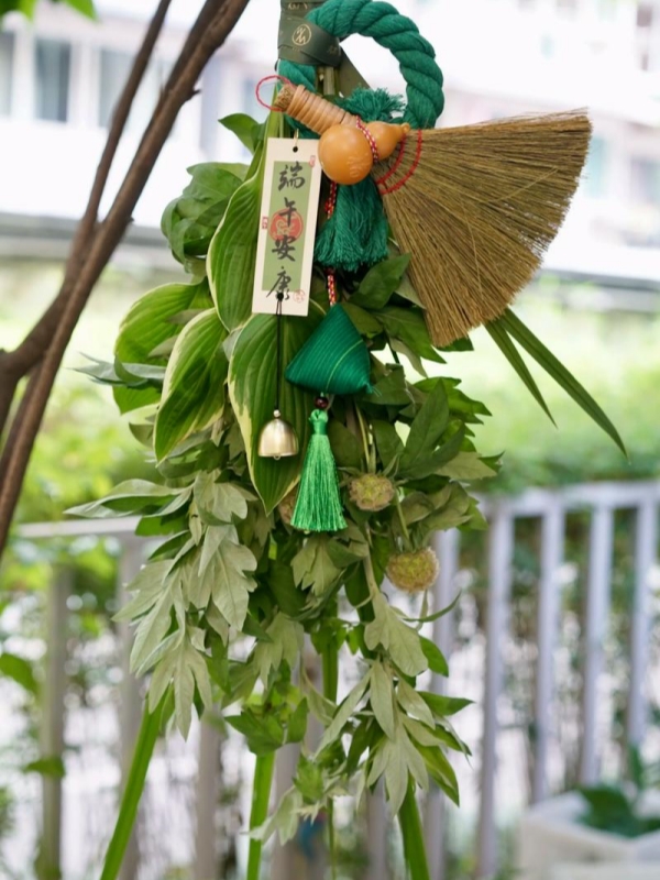 Hanging Fresh Mugwort & Calamus