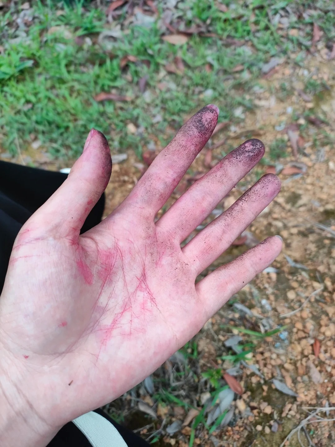 Ripe vs Underripe — The Difference Is Huge