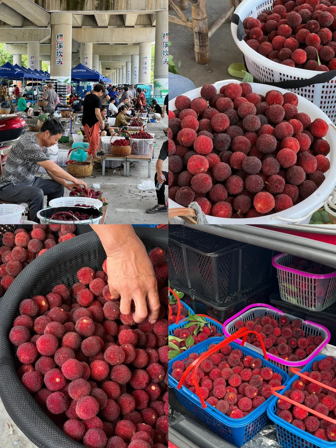 Picking the Best Ones at the Market