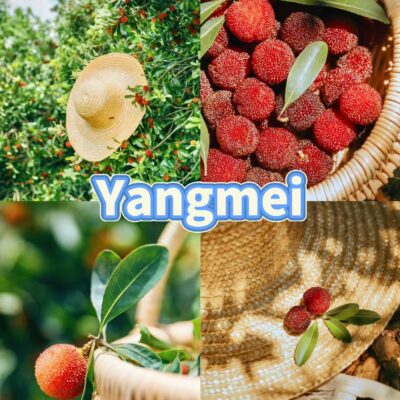 Yangmei