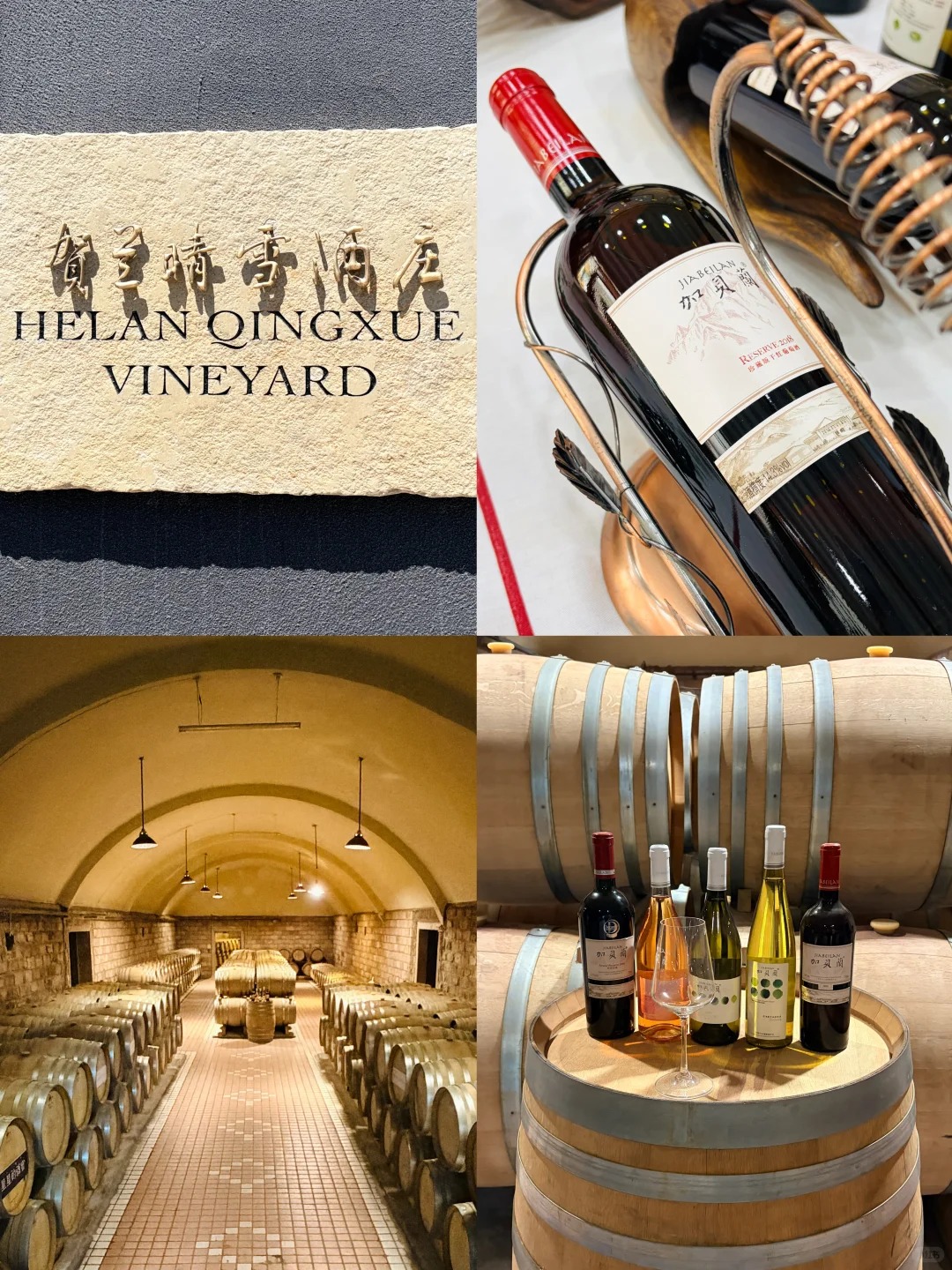 Ningxia — China's Answer to Bordeaux