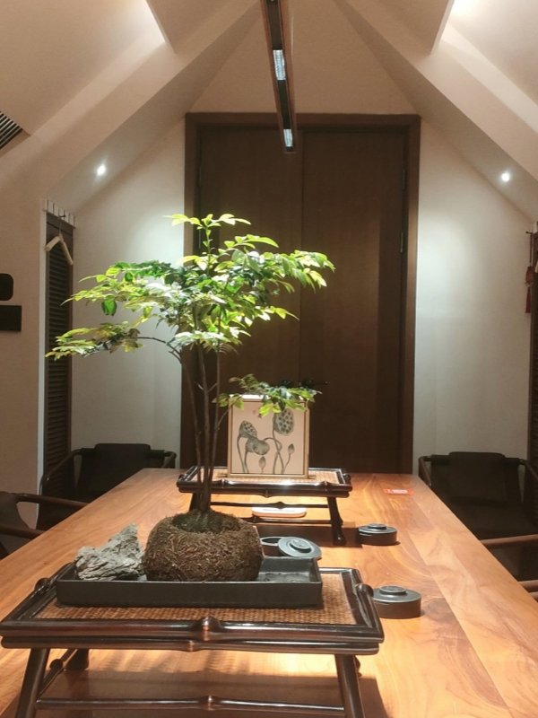 Wu Wei Shu Shi，Veg Restaurants in Shanghai