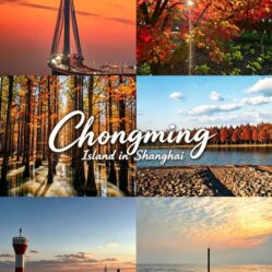 Chongming Island in Shanghai
