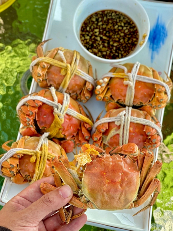 Chongming Hairy Crab