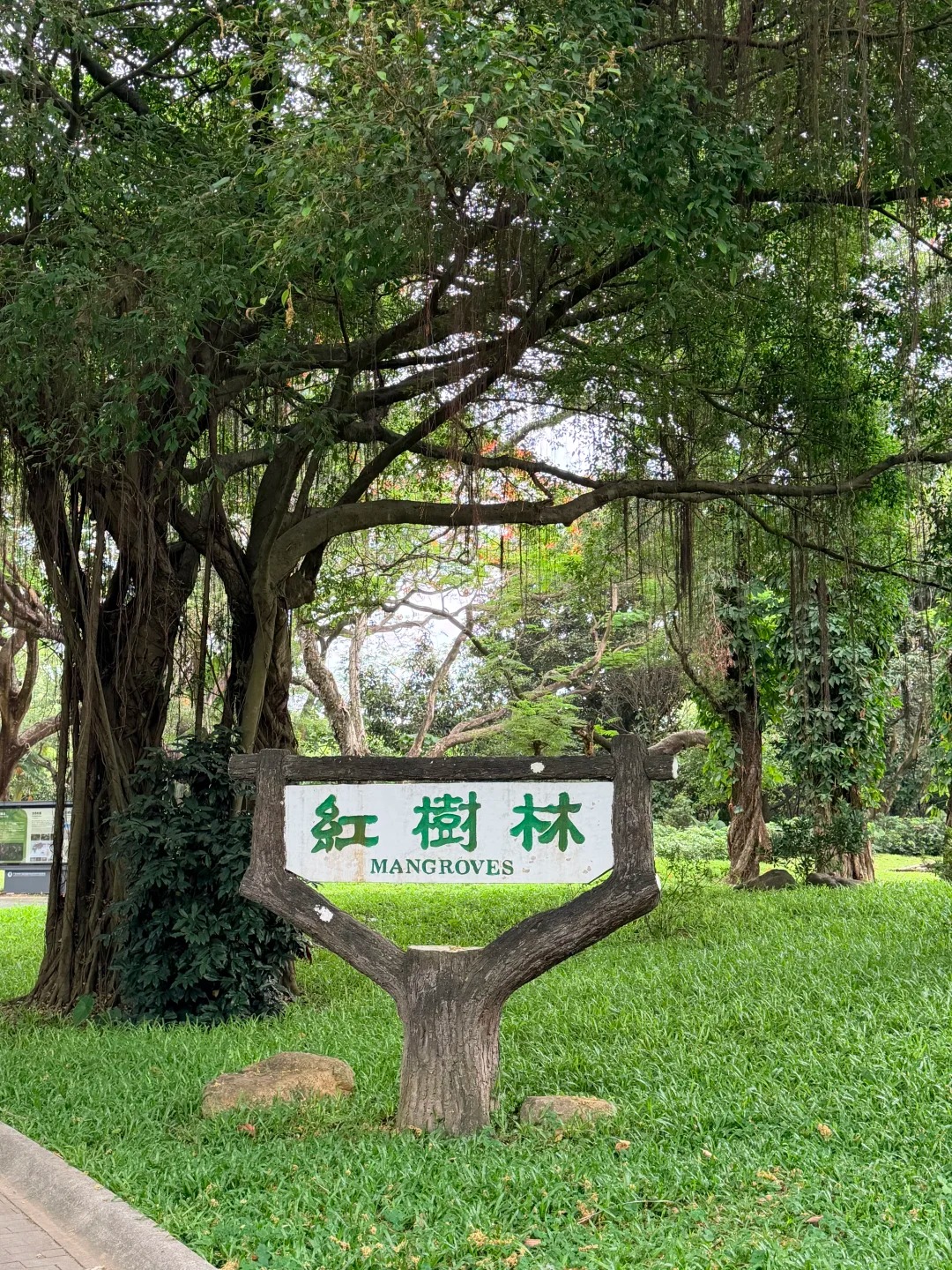 Mangrove Wetland Reserve
