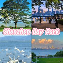 Shenzhen Bay Park