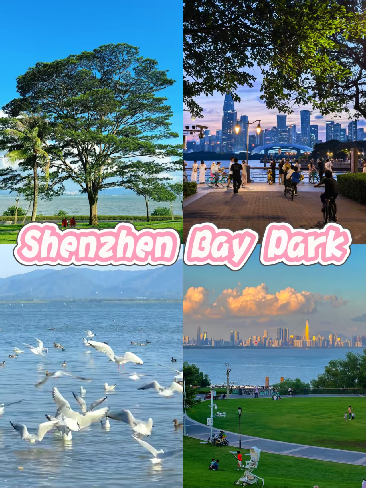 Shenzhen Bay Park
