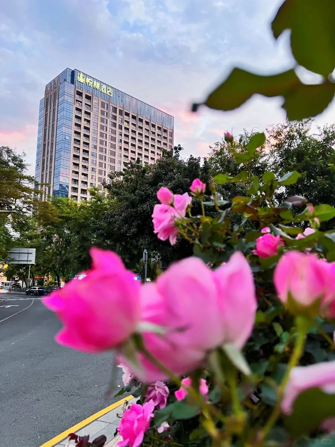 Joyforest Hotel