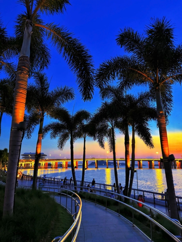 Waterfront Canalside Lights