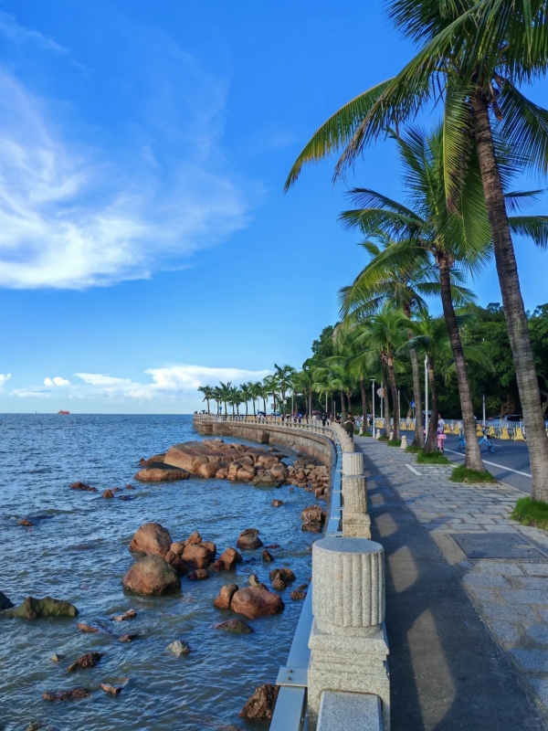 Coconut Coastal Walkway