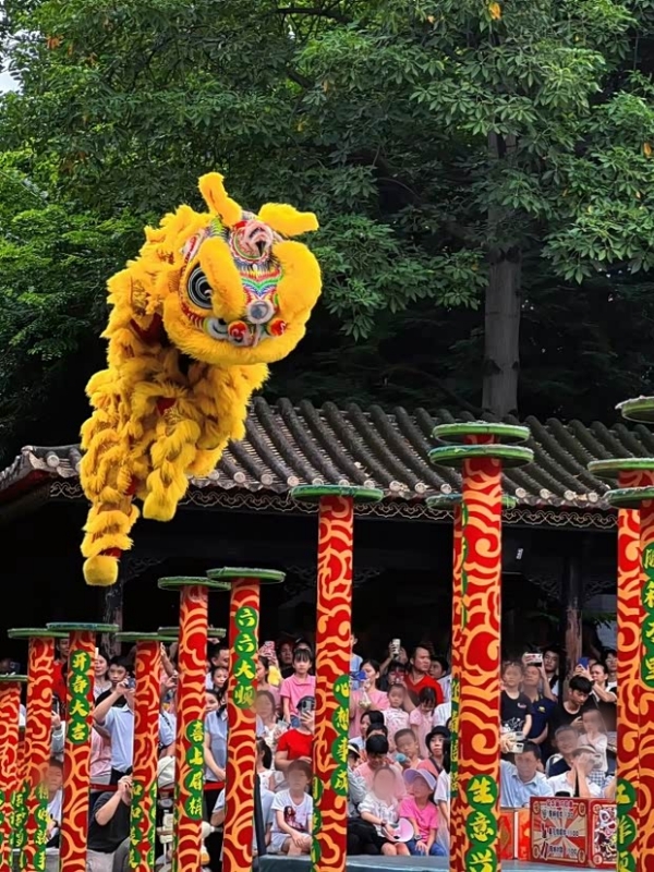 Lion Dance Performance