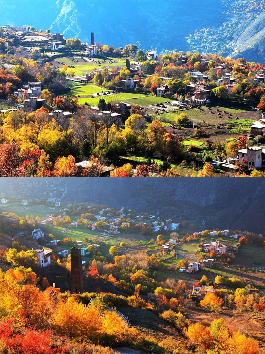 Autumn Colors