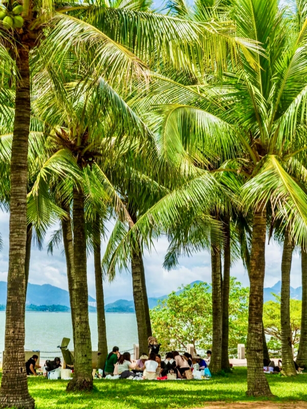Shenzhen Bay Park