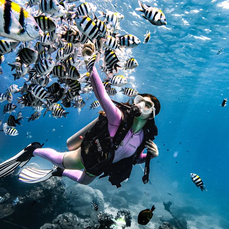 Clear Winter Underwater Diving