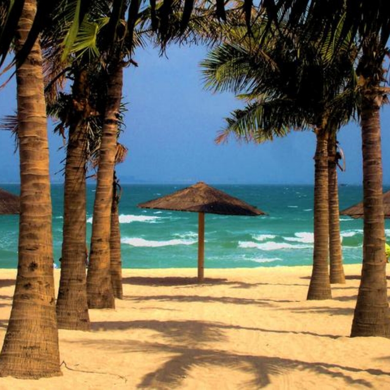 Coconut Beach