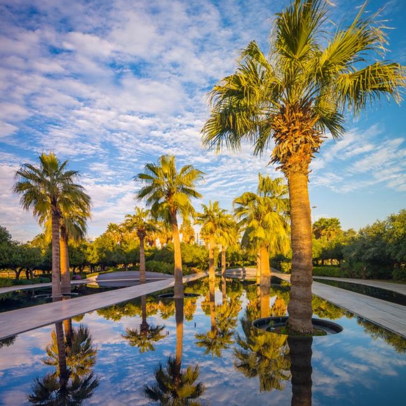 Mirror Pool at Autumn