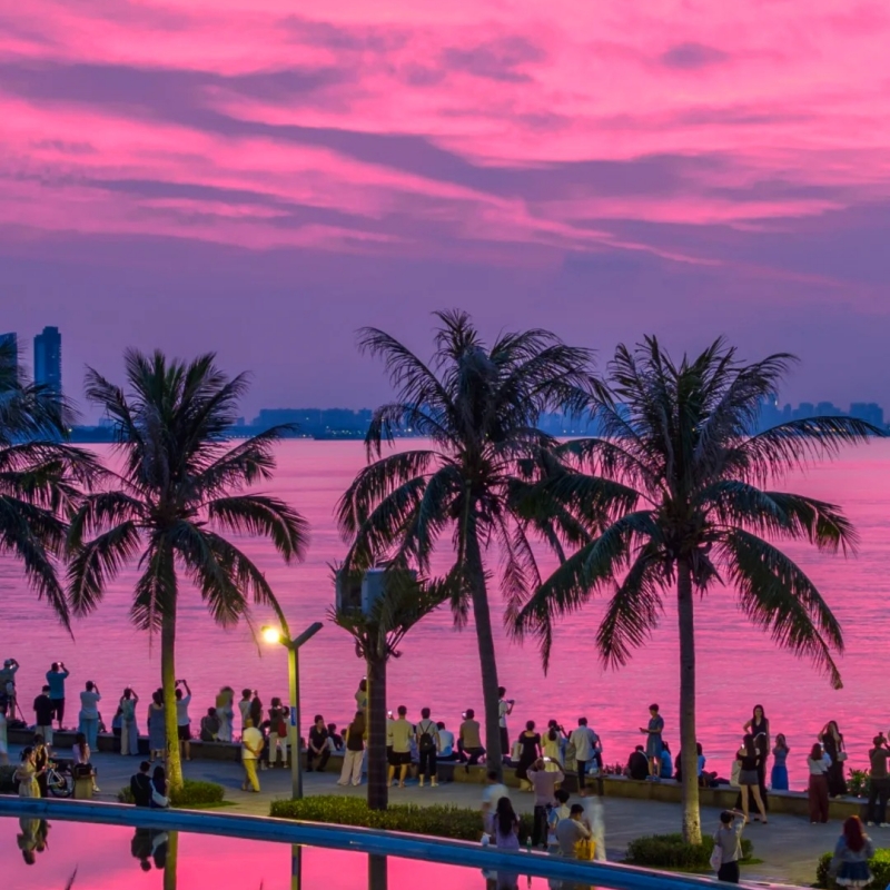 Pink Dusk at Autumn Sanya