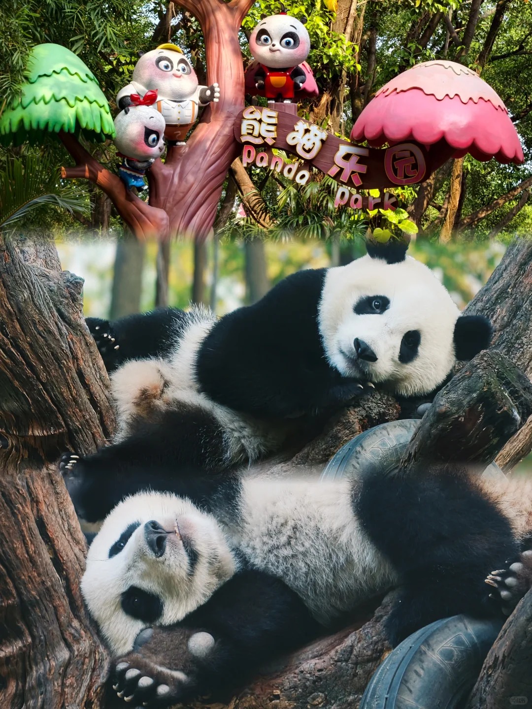 Panda World