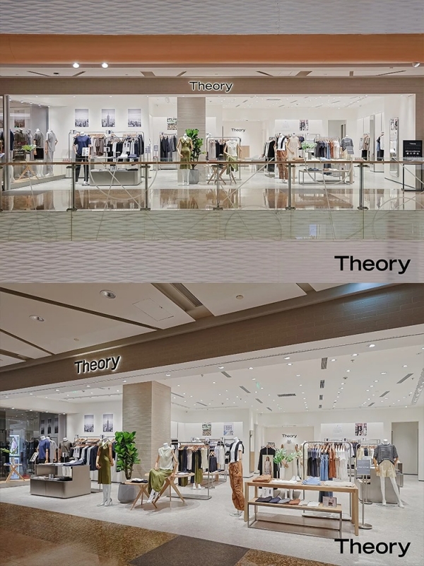 Theory