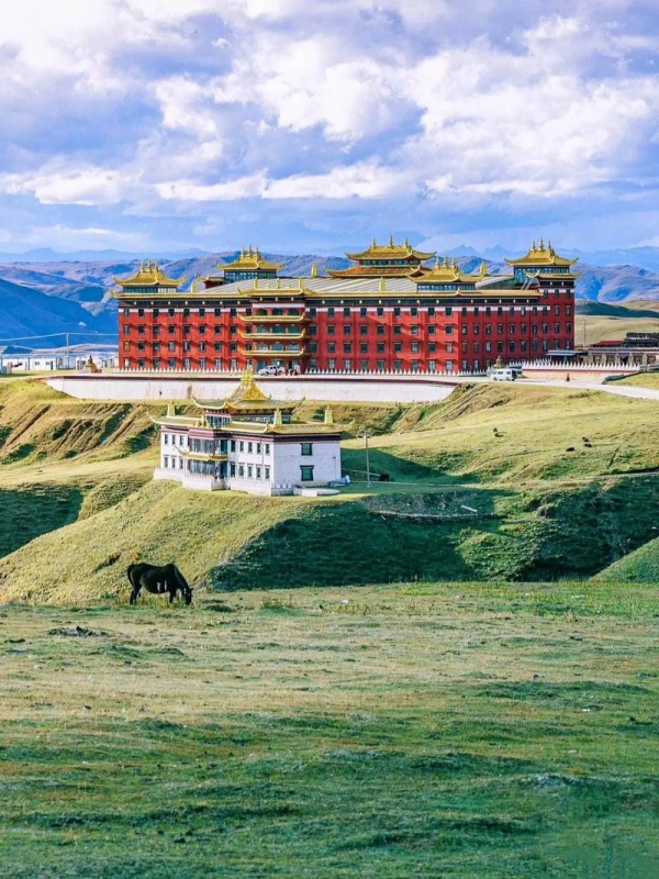 Tagong Grassland