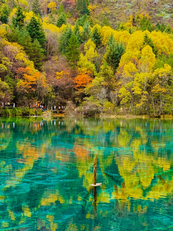Five-Flower Lake