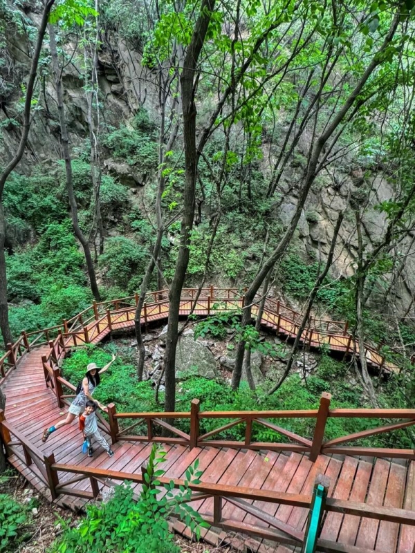 Primeval Forest Trail