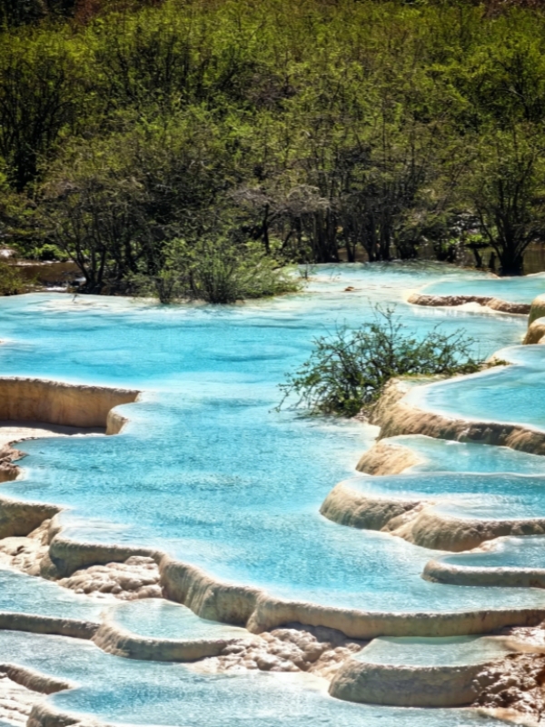 Five-Color Pond