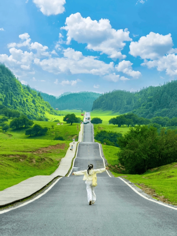 Grassland Highway At Fairy Mountain