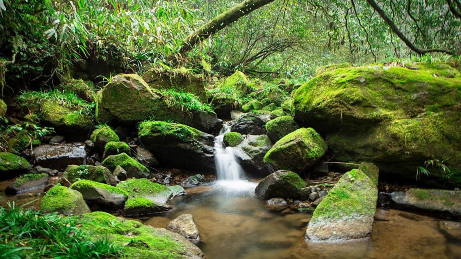 Jinbianxi (Golden Whip Stream), cool summer destinations China