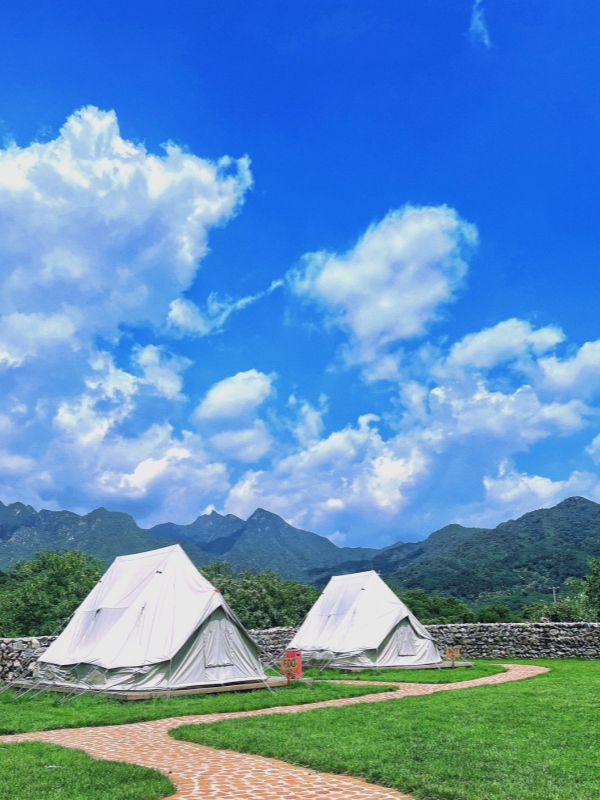 Wild-Wall Camping Tours