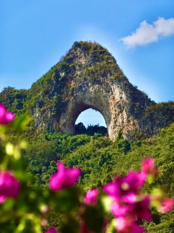 The Moon Hill and the Big Banyan Tree